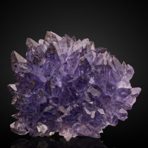 Creedite