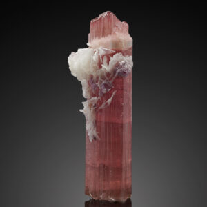 Elbaite Albite, Lepidolite